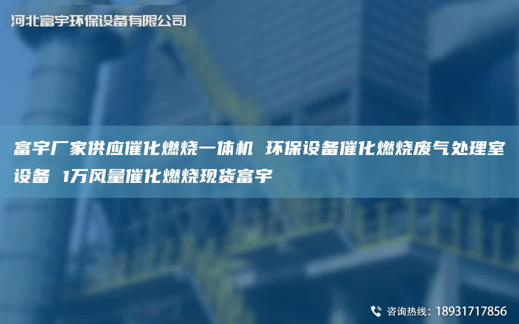 富宇廠家供應(yīng)催化燃燒一體機 環(huán)保設(shè)備催化燃燒廢氣處理室設(shè)備 1萬風(fēng)量催化燃燒現(xiàn)貨富宇