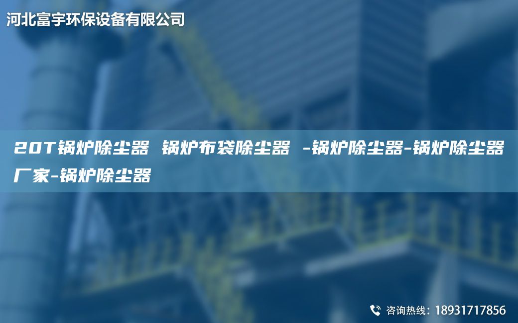 20T鍋爐除塵器 鍋爐布袋除塵器 -鍋爐除塵器-鍋爐除塵器廠家-鍋爐除塵器