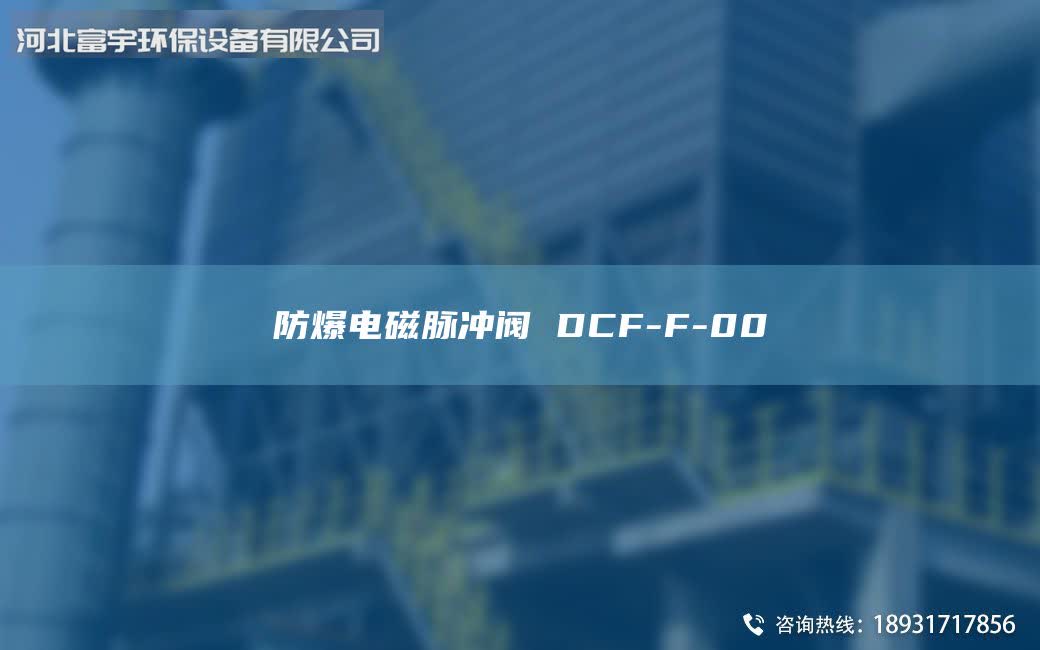 防爆電磁脈沖閥 DCF-F-00