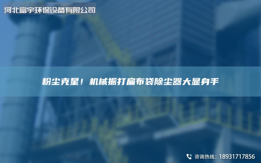 粉塵克星！機(jī)械振打扁布袋除塵器大顯身手